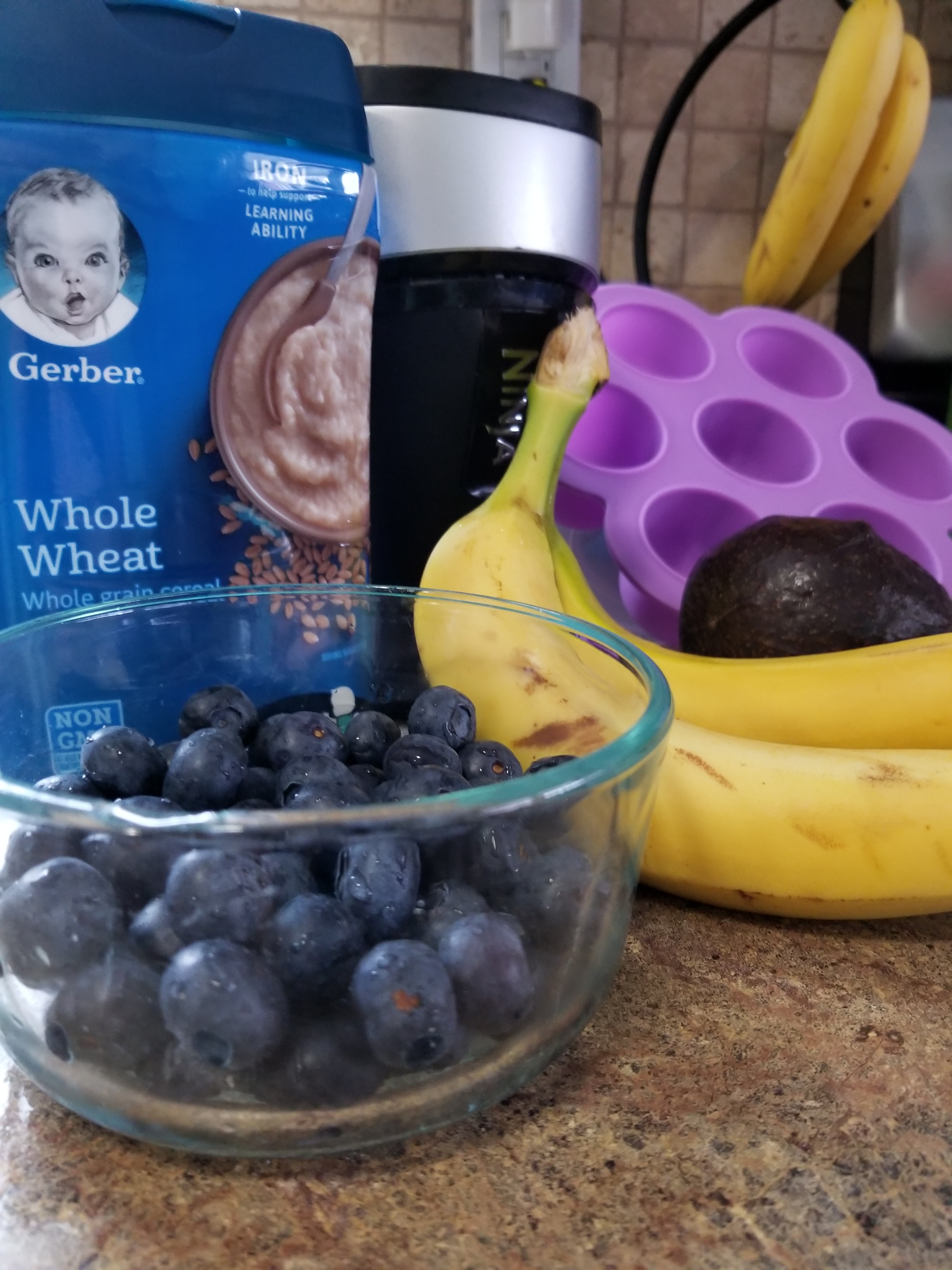 blueberry banana avocado baby puree ingredients 